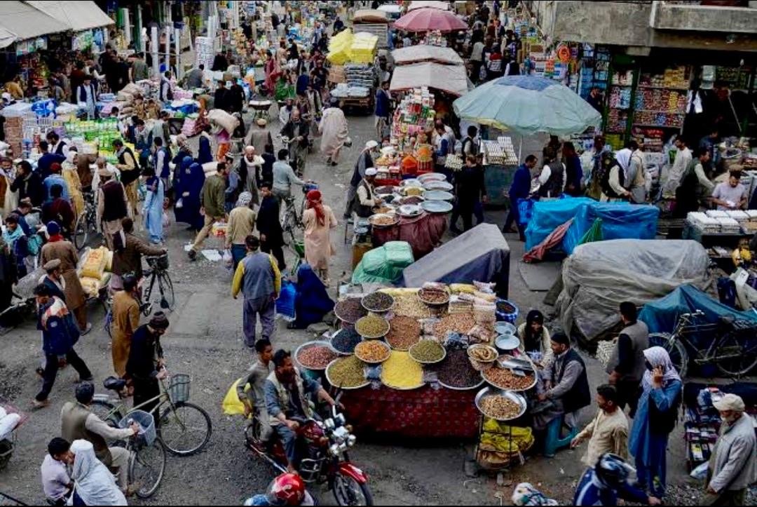 زبان ملی را مردم تعیین می&zwnj;کنند،  نه رژیم&zwnj;های دیکتاتوری