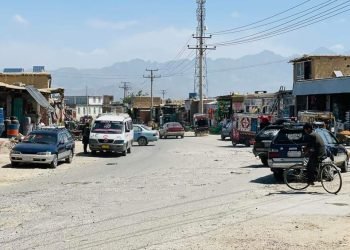 منابع محلی: طالبان دو برادر را در پروان تیرباران کردند