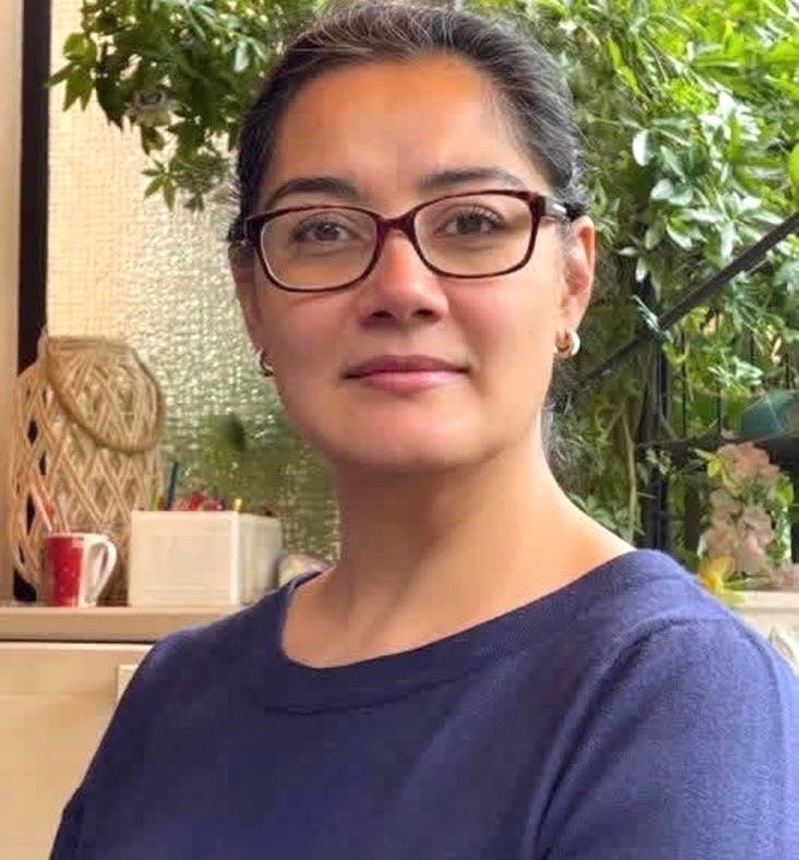 هیله نجیب: طالبان اجیران بیگانه&zwnj; اند و قادر به تامین امنیت کشور نیستند