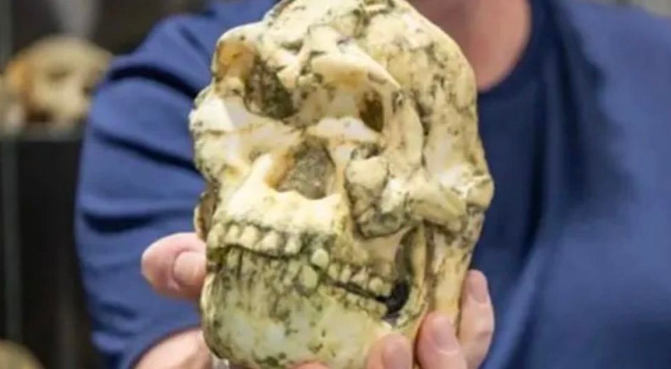 &laquo;ليتل فوت&raquo;؛ فسیلی که رازهای تازه&zwnj;ای از نیاکان انسان فاش می&zwnj;کند