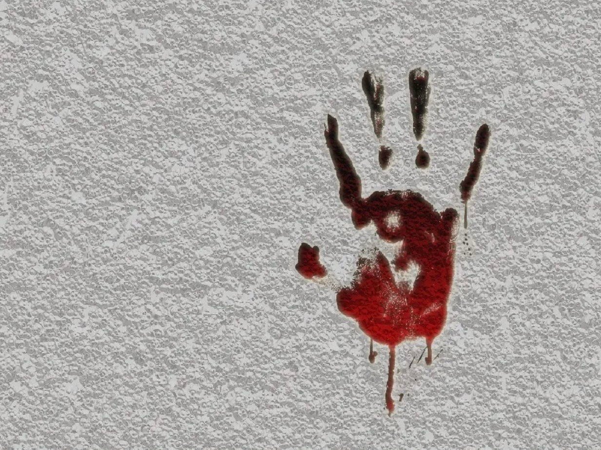 قاب عکس خون آلود