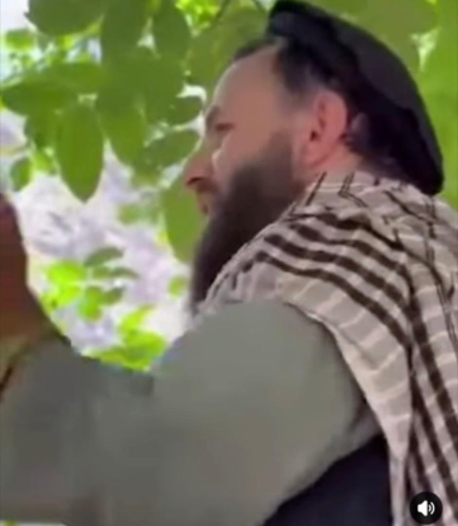 مقام طالبان مخالفان مسلح را باغی خواند و جنگ با آنان را جهاد دانست