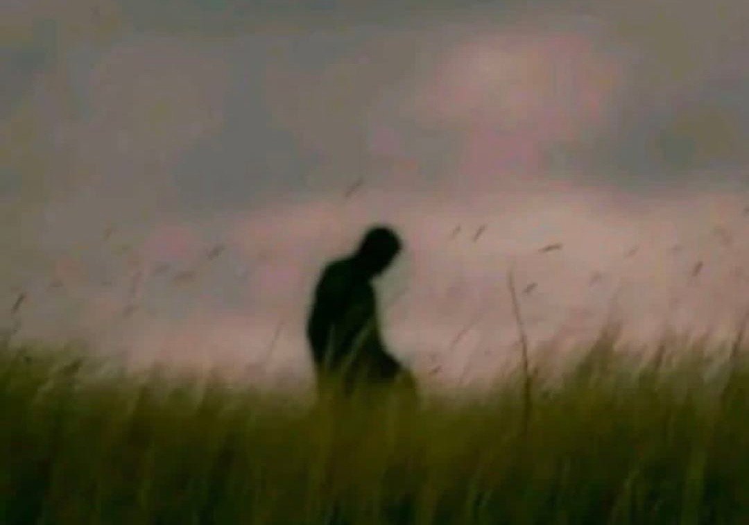 عشق نو رسیده