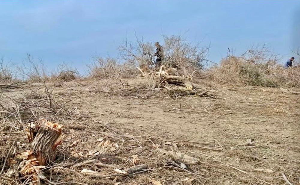منابع محلی: طالبان هزاران جریب زمین را در اطراف دریای آمو تصرف کرده&zwnj;&zwnj;اند