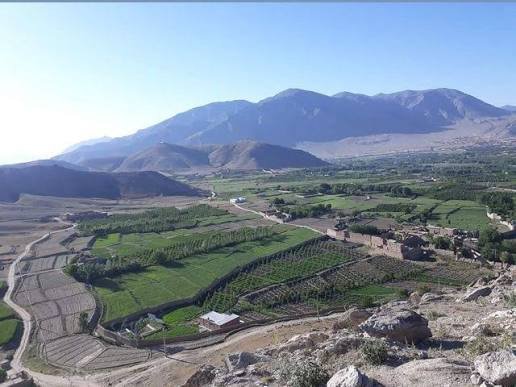 طالبان زمین&zwnj;های مردم ارغندی را دولتی اعلام می&zwnj;کند و به قباله&zwnj;های شرعی پشت می&zwnj;زند