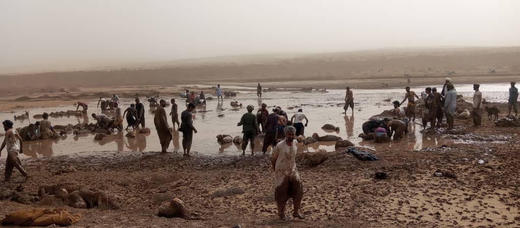 طوفان شدید در ولسوالی کشک رباط سنگی ۱۵۰ رأس گوسفند را تلف کرد
