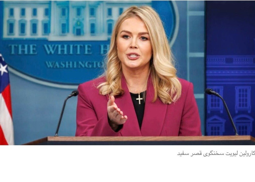 کاخ سفید: ناامنی در امریکا از افغانستان منشأ می&zwnj;گیرد