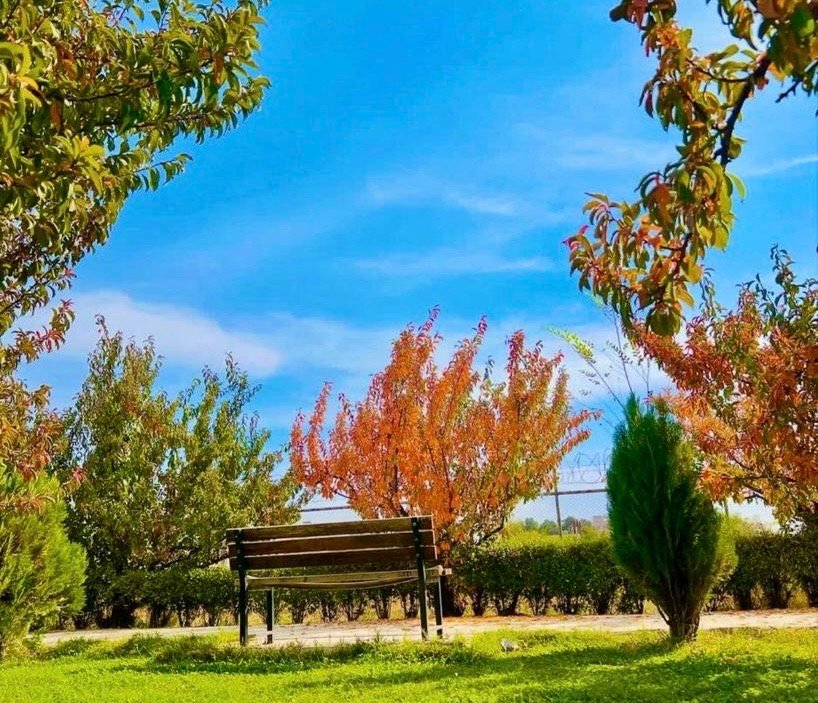 پسر روستایی