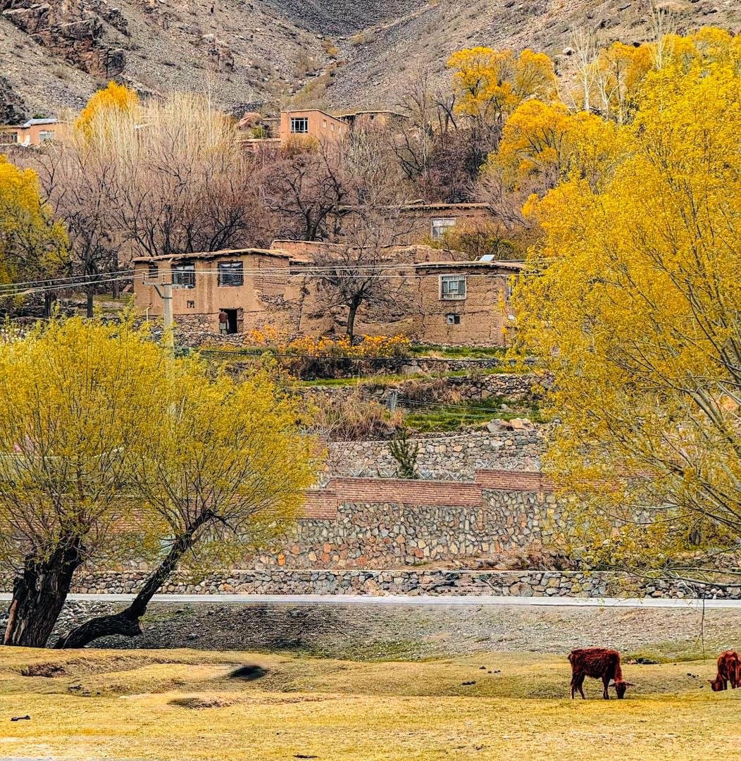 سایه&zwnj;ی آرزو چگونه در تاریکی فقر گم شد