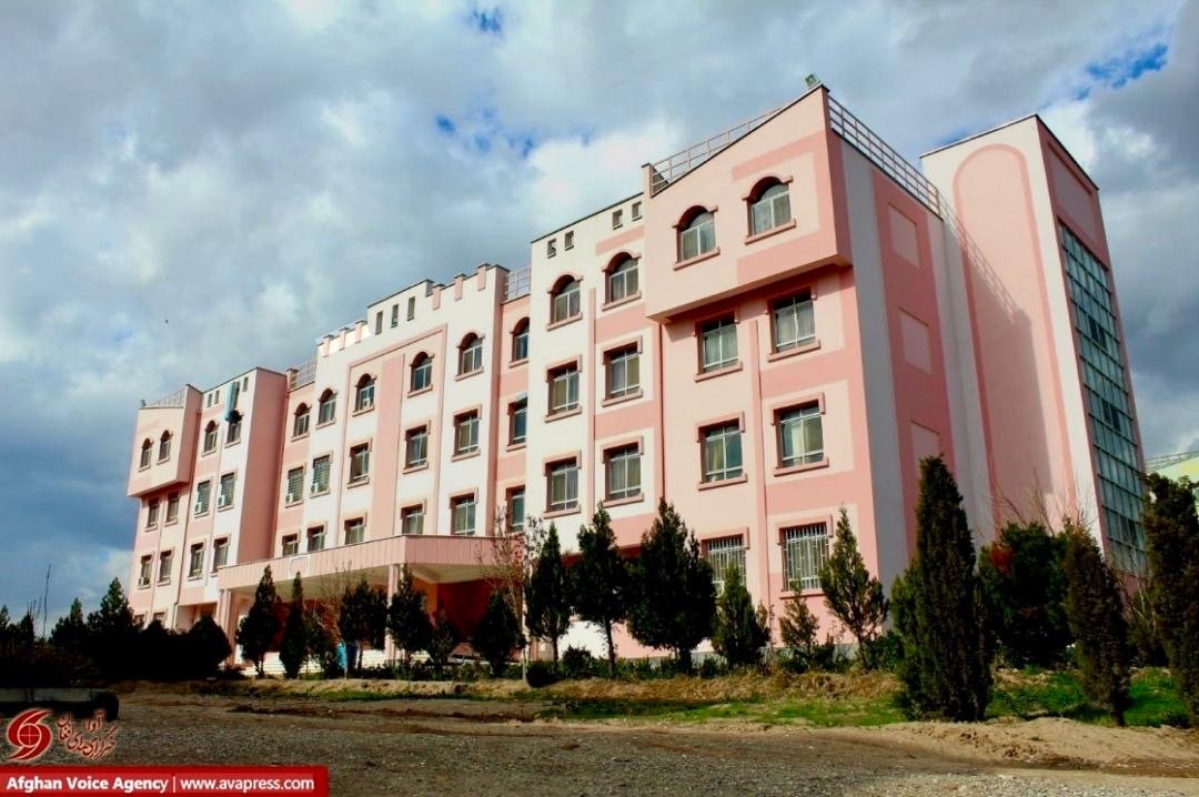 سختگیری طالبان بر سر ریش؛  استادان دانشگاه هرات استعفای جمعی دادند