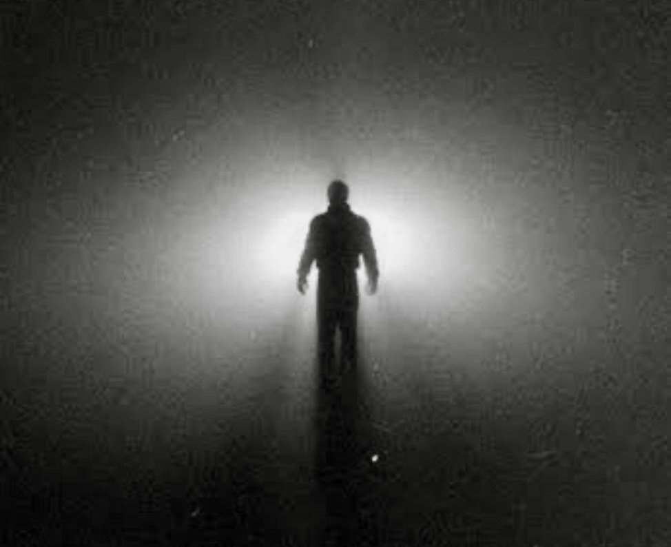 در جستجوی حقیقت؛ روایت تاریخی از مقاومت در برابر تاریکی