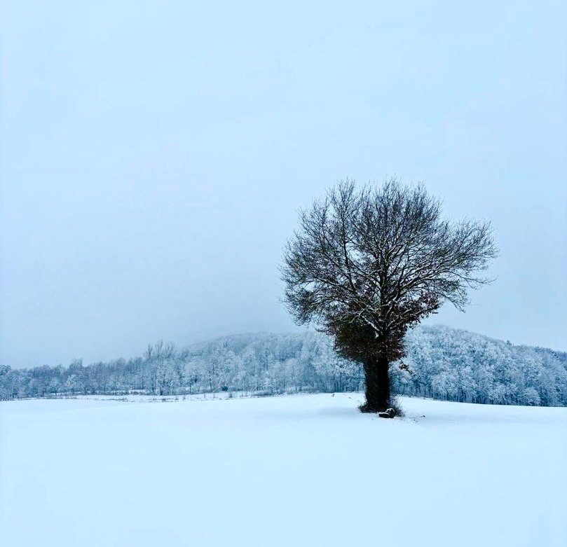 ای برادر، تو همان اندیشه&zwnj;ای