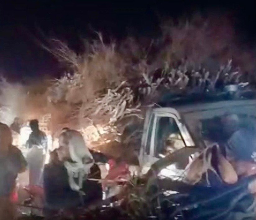 باشندگان تخار: طالبان جنگل کهنه&zwnj;خانه این ولایت را  قطع کردند