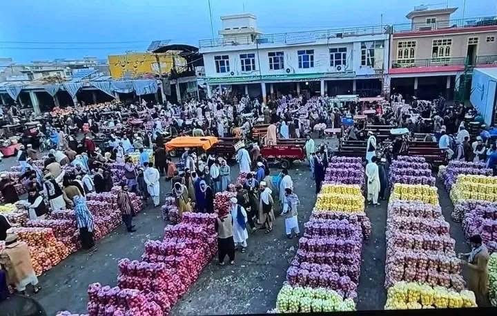 پاکستان مسیر ترانزیتی میوه افغانستان از طریق ایران را مسدود کرد