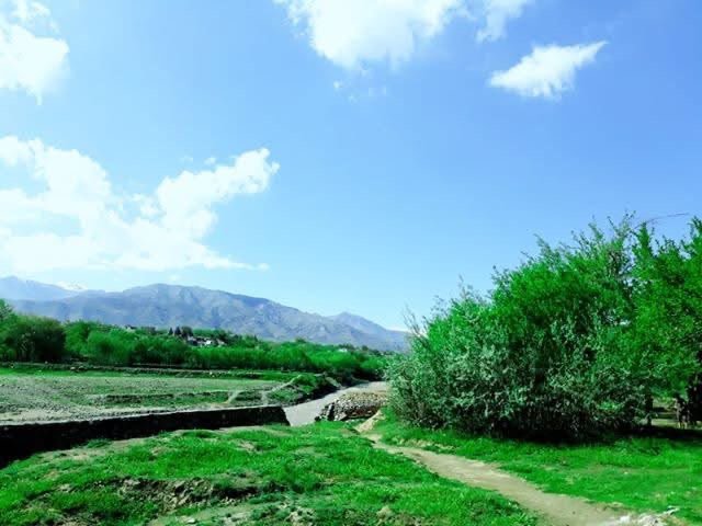 منابع محلی: طالبان چهار تن را در سیدخیل پروان تیرباران کردند