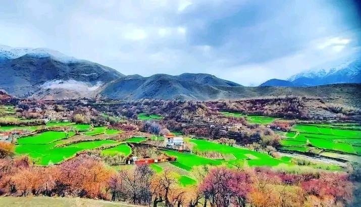 کشف ذخایر بزرگ طلا در پنجشیر؛ طالبان&zwnj; از طرح استخراج خبر دادند