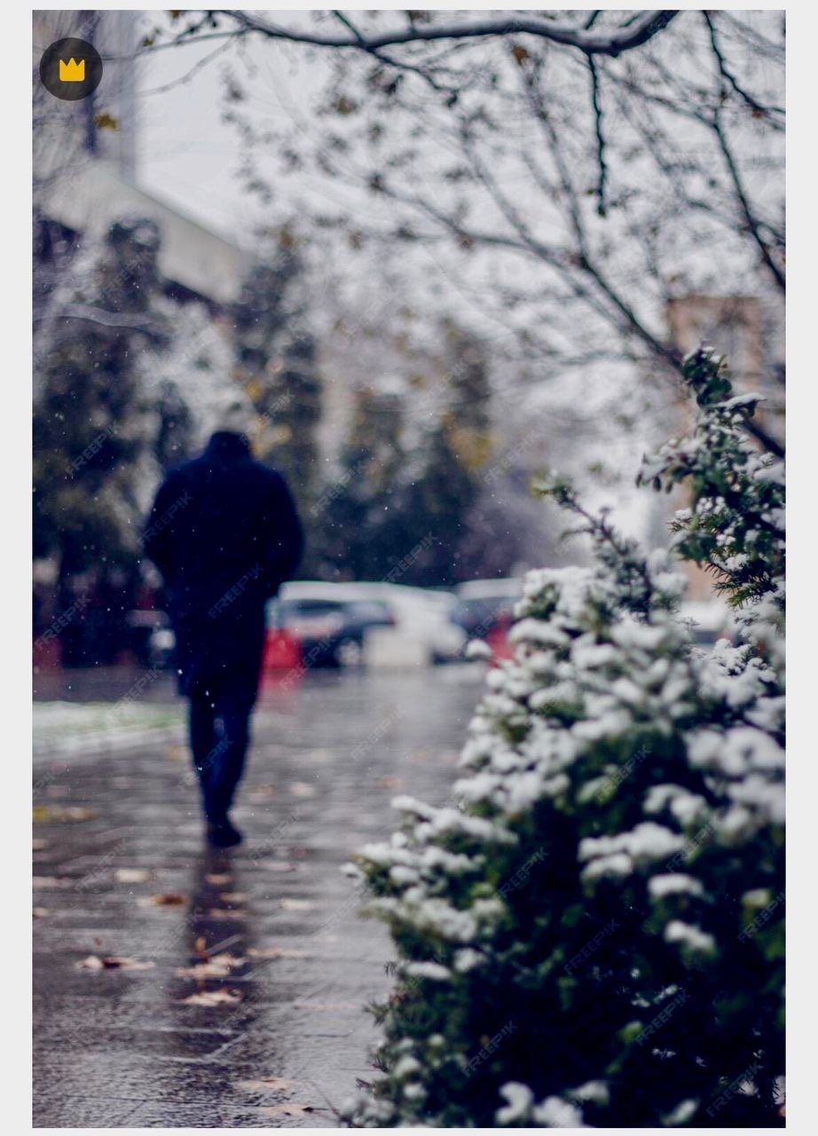 عشق یخ&zwnj;زده