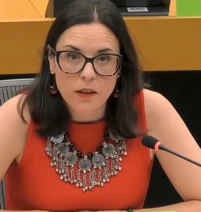 EU-Abgeordnete entschuldigt sich bei Afghaninnen und Afghanen f&uuml;r Einladung einer Taliban-Delegation nach Br&uuml;ssel